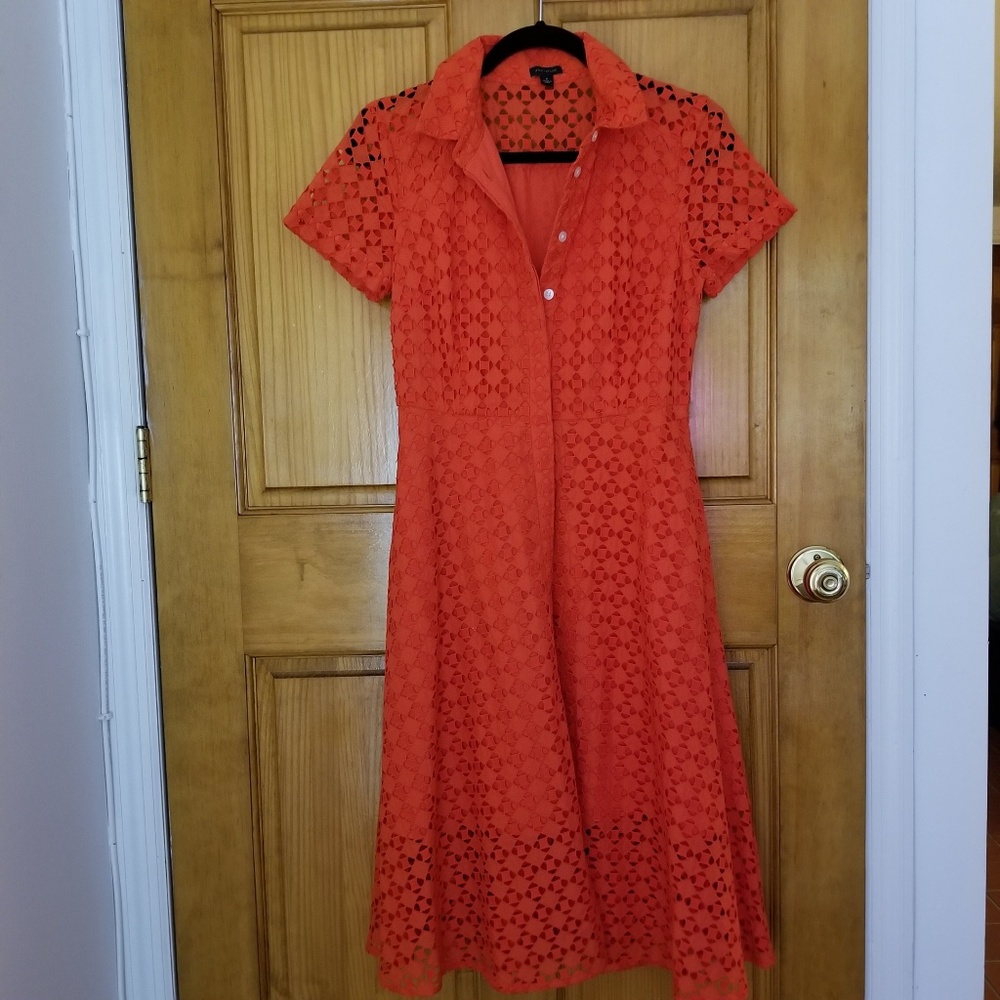 Orange eyelet flare lace Ann Taylor shirtdress 2
